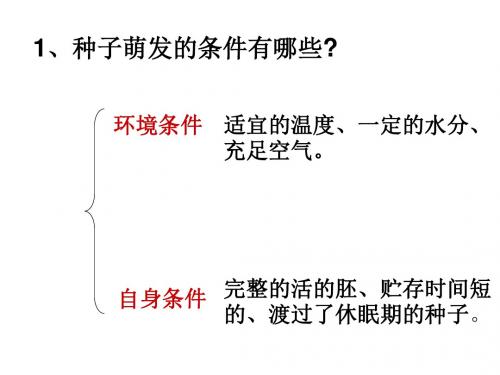 1、种子萌发的条件有哪些