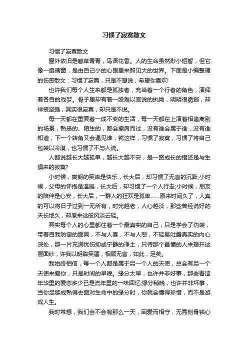 习惯了寂寞散文