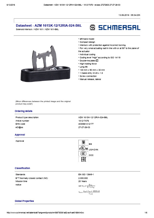 AZM 161SK_12 12RIA_024_B6L 电磁锁定器说明书