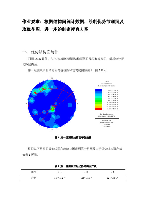 高等岩石力学  玫瑰花图