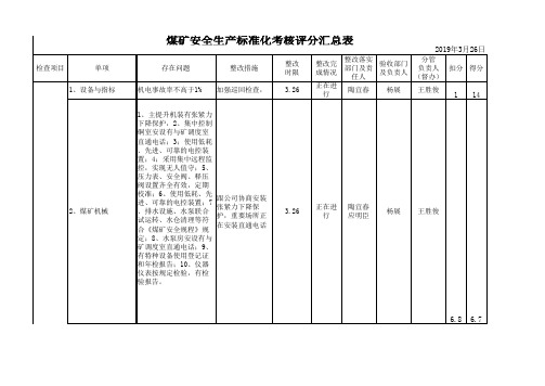 质量标准化评分表(全)