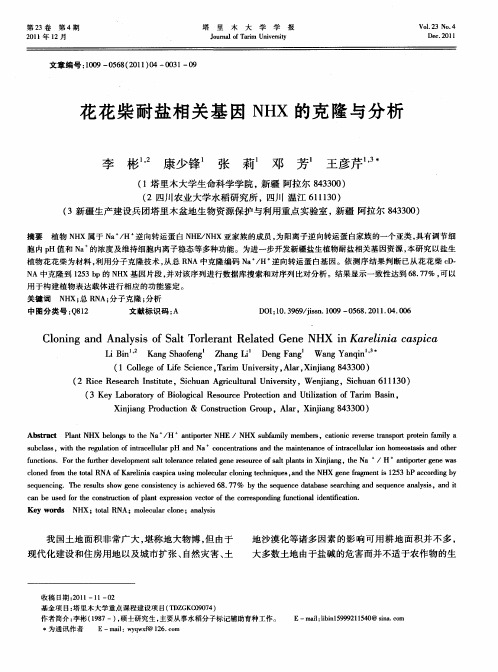花花柴耐盐相关基因NHX的克隆与分析