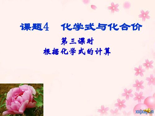 初中化学《相对分子质量精》课件ppt