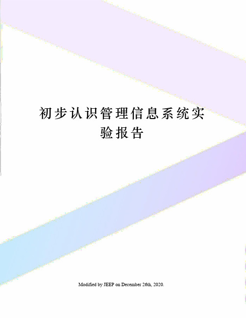 初步认识管理信息系统实验报告