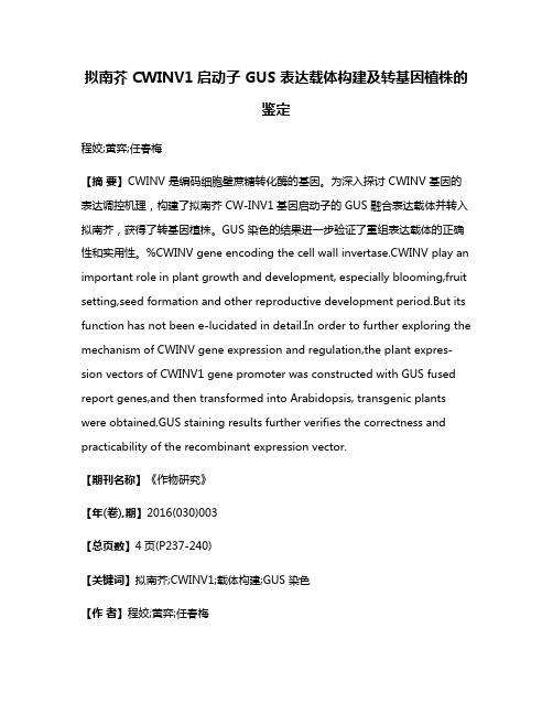 拟南芥 CWINV1启动子 GUS 表达载体构建及转基因植株的鉴定