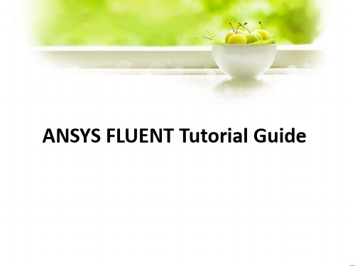 ANSYS FLUENT Tutorial Guide