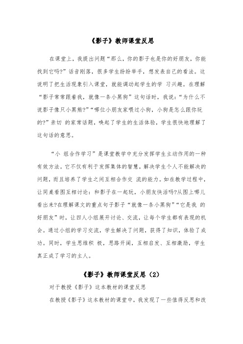 《影子》教师课堂反思（2篇）