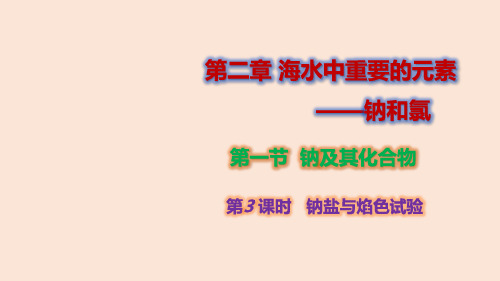 【高中化学】钠盐与焰色试验 2023-2024学年高一化学同步课件(人教版必修第一册)