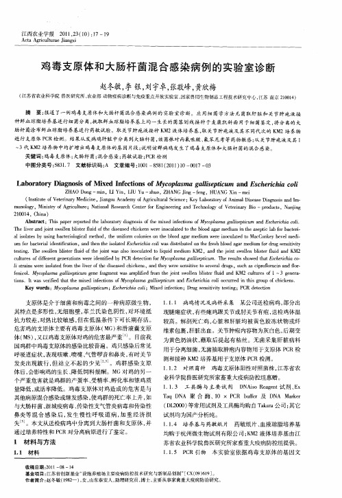 鸡毒支原体和大肠杆菌混合感染病例的实验室诊断