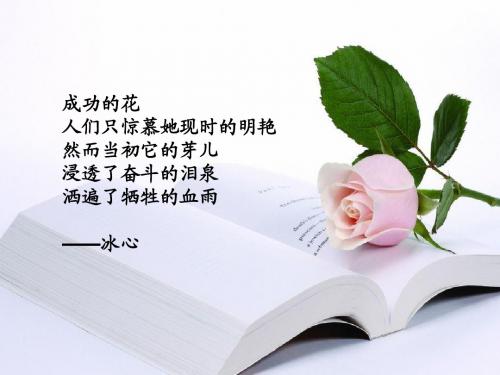 小学综合素质之二:文化素养基本能力