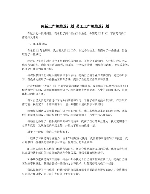 两新工作总结及计划_员工工作总结及计划