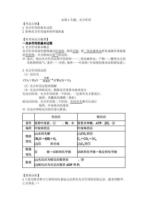 (完整版)高考生物专题光合作用知识点及专题练习