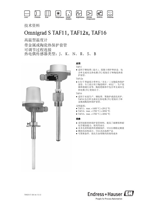 高温型热电偶TAF11