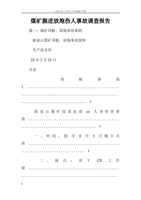 煤矿掘进放炮伤人事故调查报告