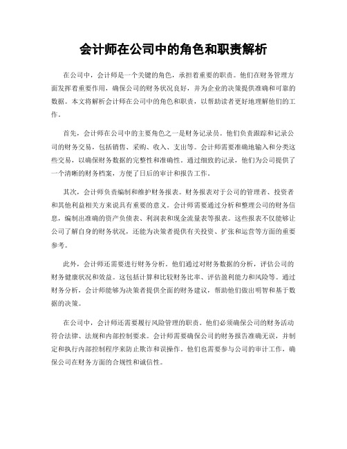 会计师在公司中的角色和职责解析