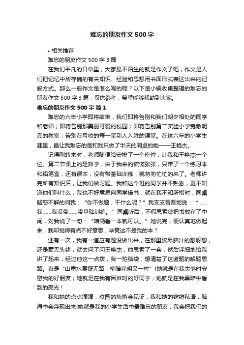 难忘的朋友作文500字