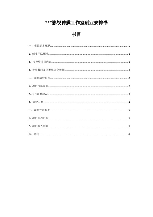 某影视传媒工作室创业计划书2024