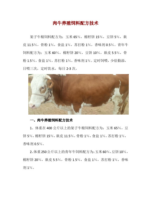 肉牛养殖饲料配方技术