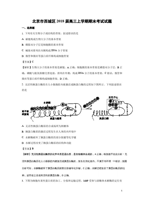 生物-北京市西城区2018届高三上学期期末考试试题