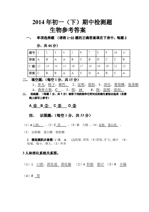 2014年初一生物参考答案