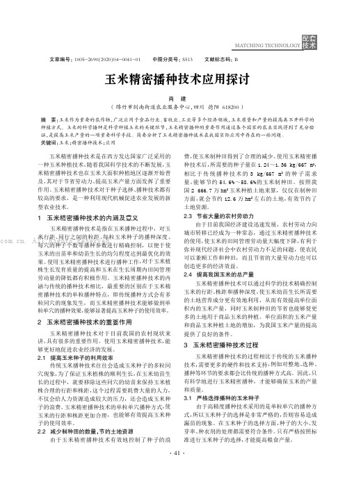 玉米精密播种技术应用探讨