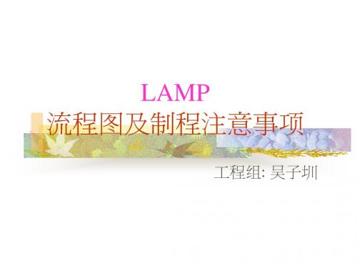 工程LAMP流程图及制程注意事项事项