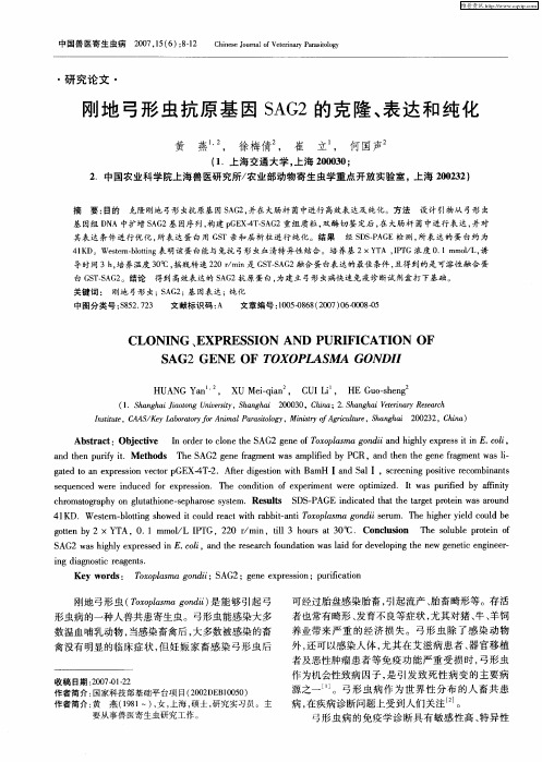 刚地弓形虫抗原基因SAG2的克隆、表达和纯化