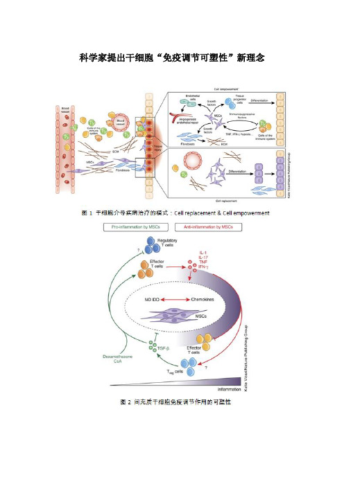 科学家提出干细胞“免疫调节可塑性”新理念