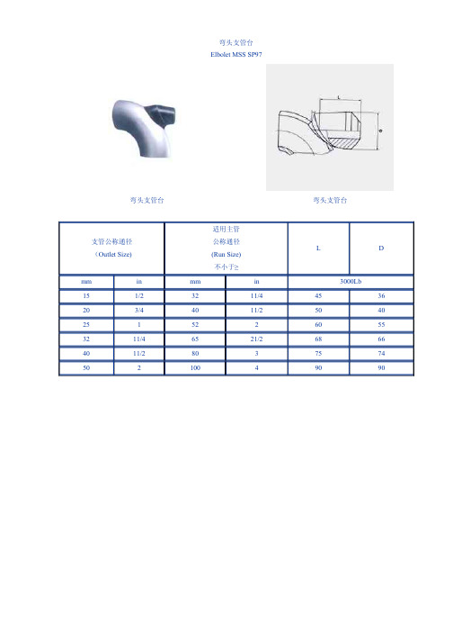 MSS-SP97 支管台