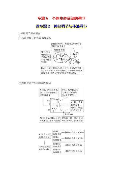 专题6 个体生命活动的调节 微专题2 神经调节与体液调节