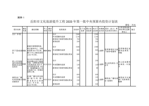 岳阳市文化旅游提升工程2020年第一批中央预算内投资计划表【模板】