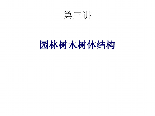 园林树木树体结构演示课件