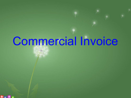 Commercial Invoice