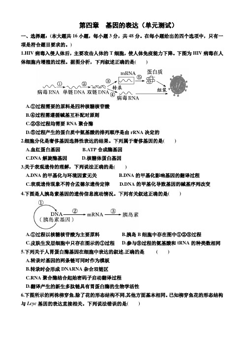 第4章基因的表达单元测试高一下学期生物人教版必修2