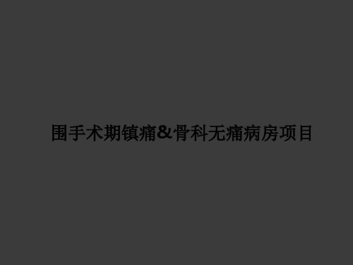 无痛病房ppt课件