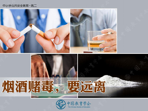 高中安全教育远离烟酒赌毒ppt课件