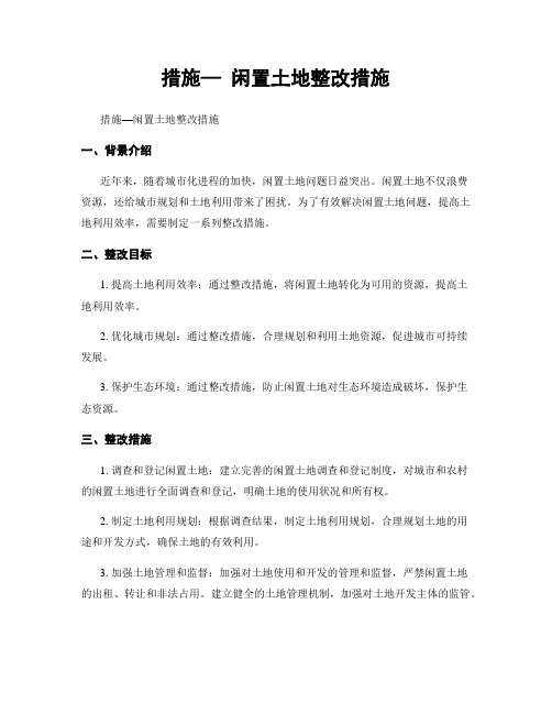 措施— 闲置土地整改措施