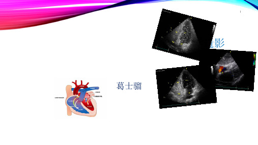 右心声学造影演示PPT