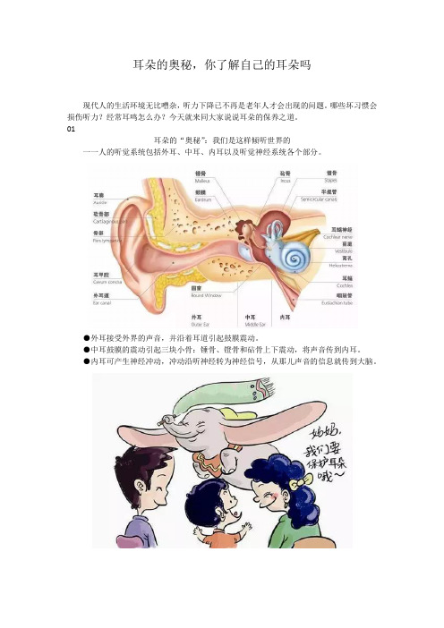 耳朵的奥秘,你了解自己的耳朵吗