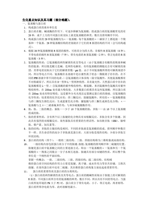 蛋白质与酶的重点知识及其习题 (1)