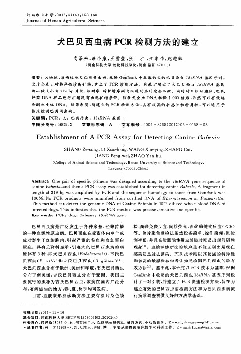 犬巴贝西虫病PCR检测方法的建立