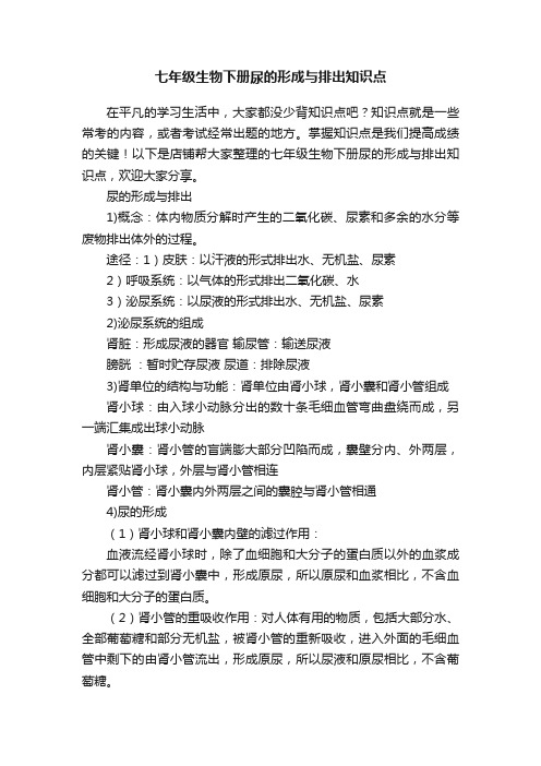 七年级生物下册尿的形成与排出知识点