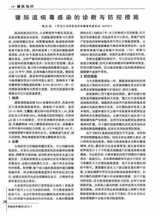 猪肠道病毒感染的诊断与防控措施