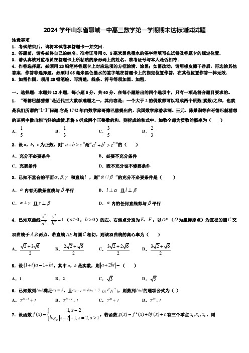 2024学年山东省聊城一中高三数学第一学期期末达标测试试题含解析