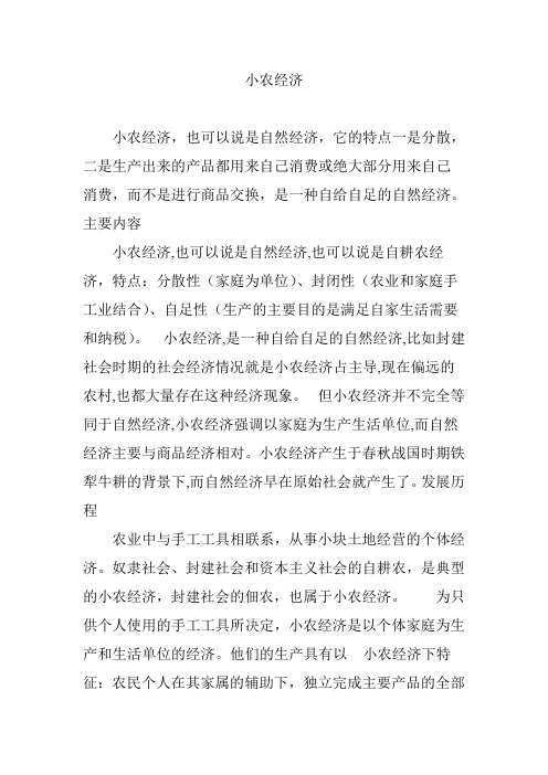 小农经济