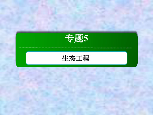 2020-2021学年生物人教版选修3课件：5-1 生态工程的基本原理 