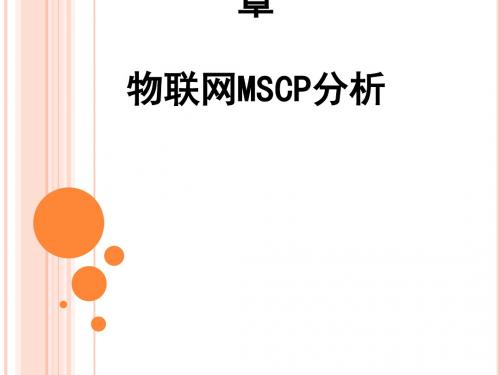 物联网MSCP分析(PPT 35张)