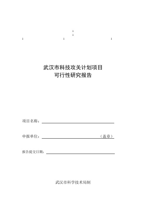 鼎力推荐武汉市科技攻关计划项目