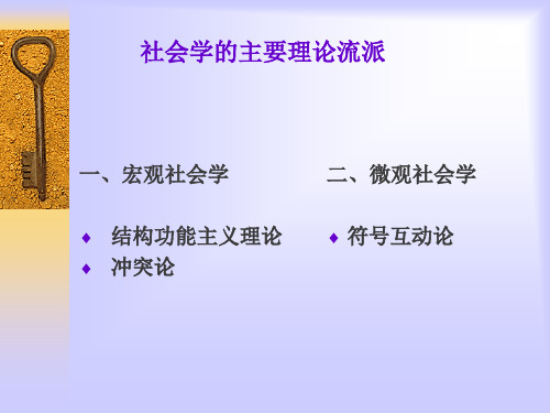 社会学第二讲：社会学的主要理论视角