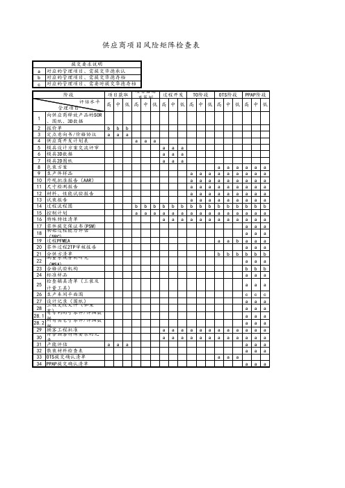 供应商项目风险矩阵检查表